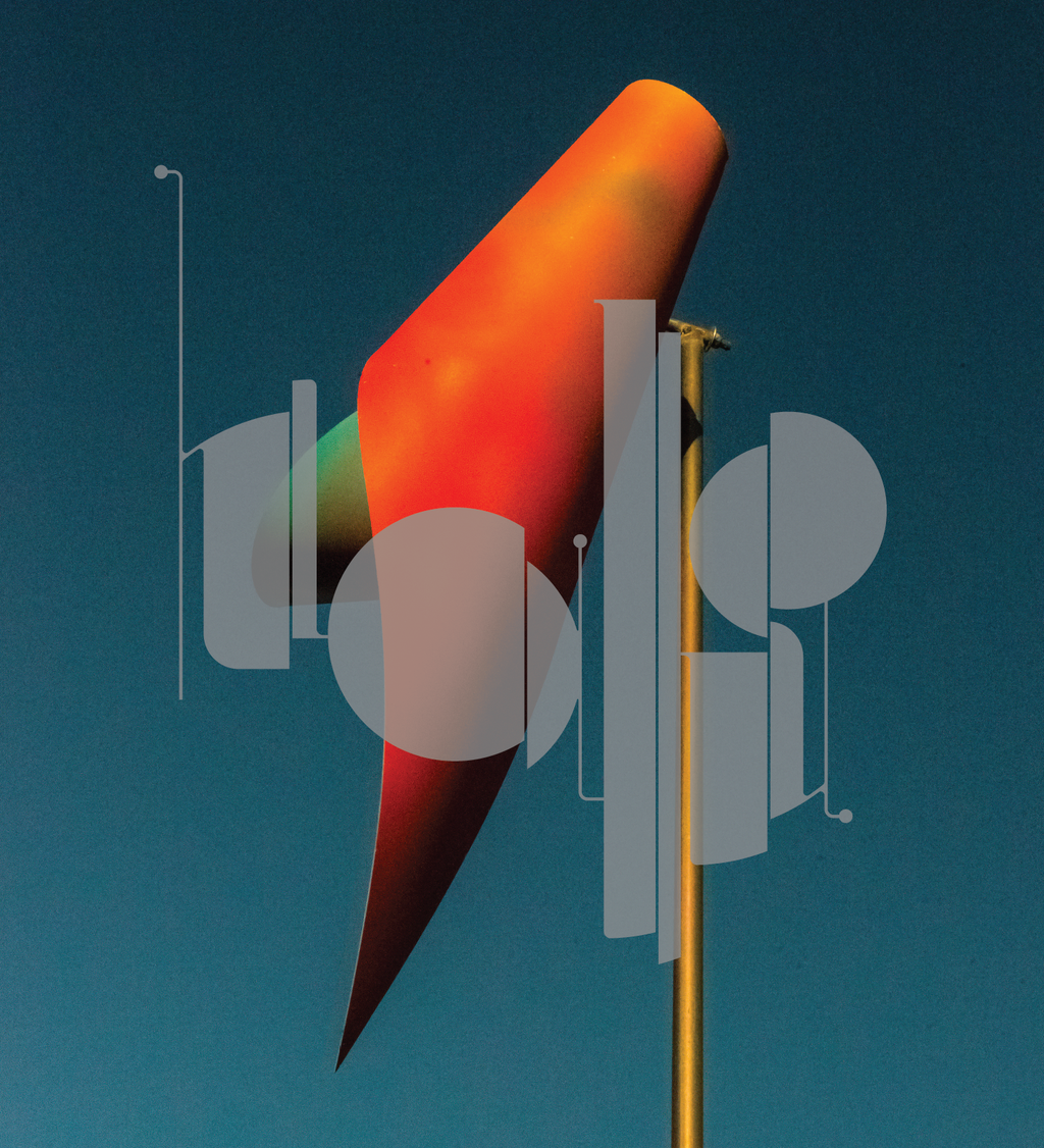 Lean Into The Gravity - Compact Disc